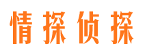 蒙山侦探公司